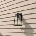 Encased Wall Light (Trigon)