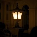 Parrot Gate Light - Image 2