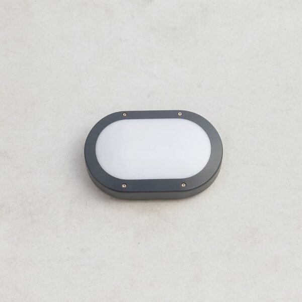 Ellipse Bulkhead Light