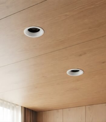 ascea recessed ceiling light day view