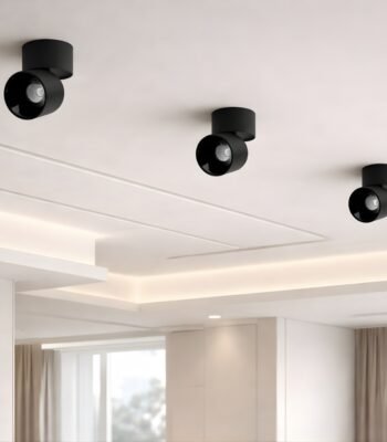 mona surface ceiling light black day view