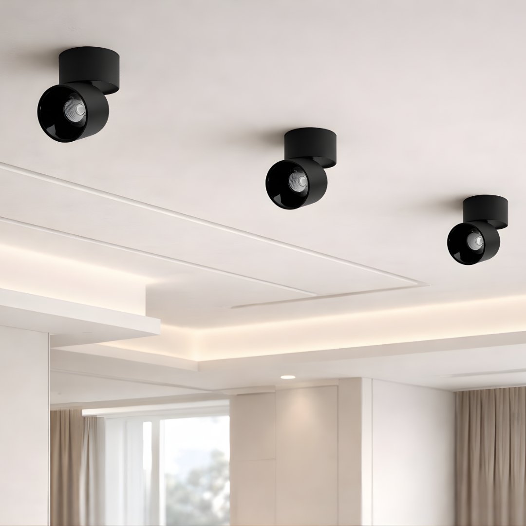mona-surface-ceiling-light-black-day-view Mono Surface Ceiling Light - Image 1