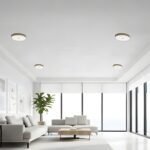 Sol - M  Surface Ceiling Light (Round 18W) Motion Sensor