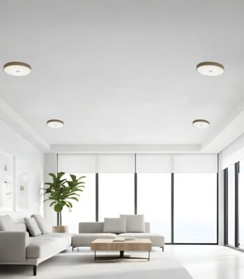 sol m surface ceiling light 12W RD day view