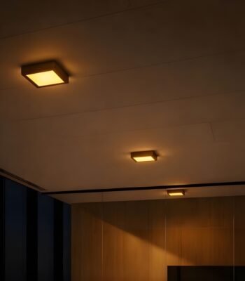 sol surface ceiling light 12W sq night view